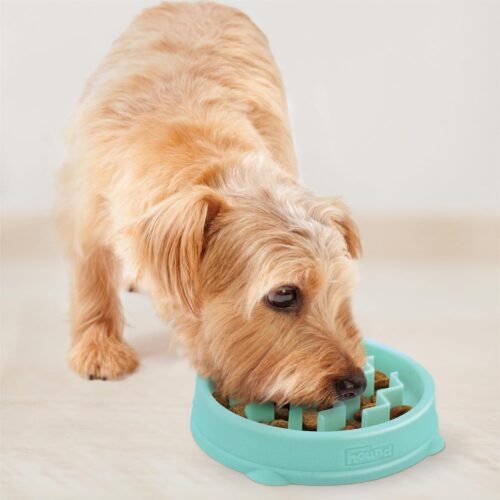 Tigela Outward Hound Fun Feeder, Para Alimentação Lenta, Pequeno, Mint - Image 2