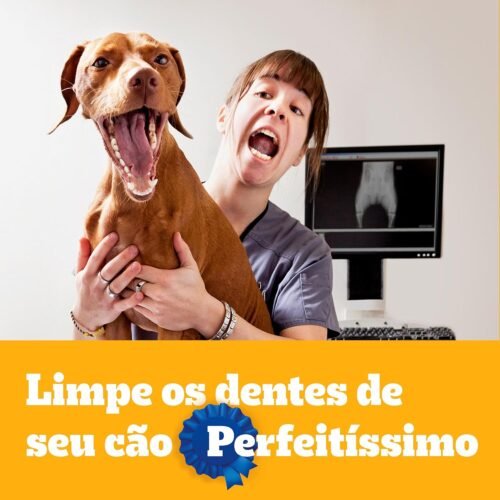 Pedigree Petisco Pedigree Dentastix Cuidado Oral Para Cães Adultos Raças Pequenas 7 Unidades - Image 9