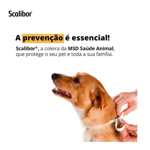 Scalibor Coleira Antiparasitária 48Cm Para Cães Scalibor Para Cães, 48 Cm - Image 3