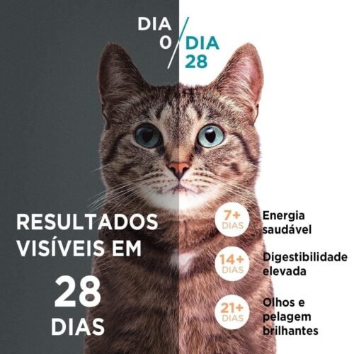 Purina One, Ração Seca Para Gatos Adultos Castrados Todas As Raças Frango E Salmão, 2Kg - Image 7